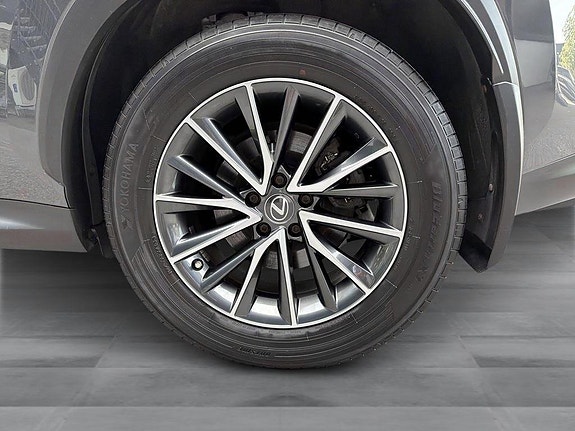 Lexus NX450h+ 11 of 15