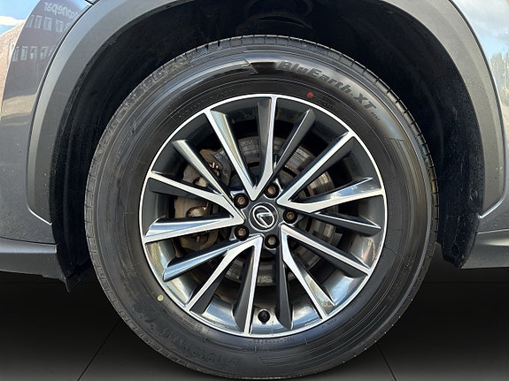 Lexus NX450h+ 14 of 26