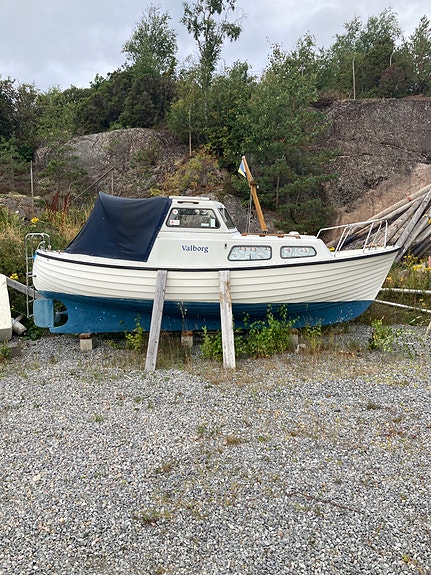 Gullholmsnipa 2 of 14