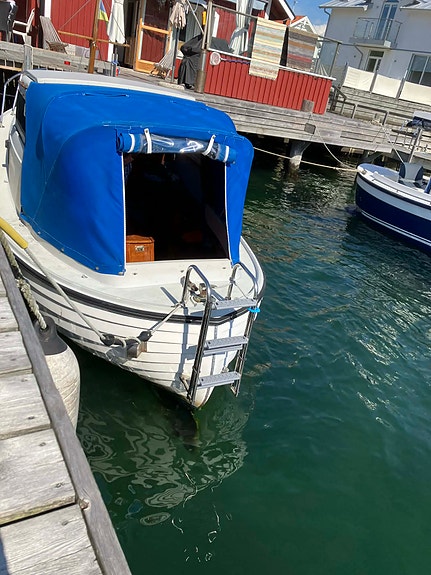 Gullholmsnipa 4 of 14