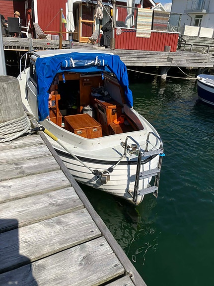 Gullholmsnipa 7 of 14