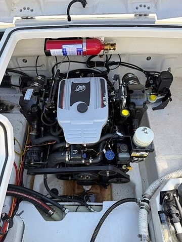 Bayliner 642 - 220 hk 5 of 5