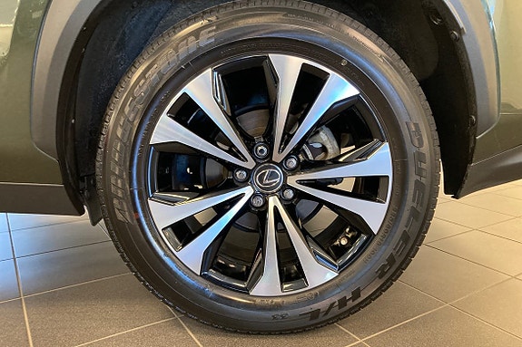 Lexus NX300h 18 of 20