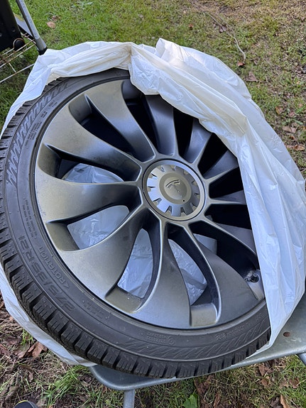 Tesla Model Y 6 of 6