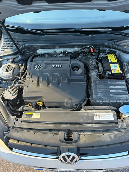 Volkswagen Golf VII 10 of 11
