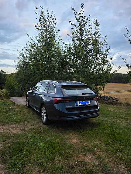 Skoda Octavia 2 of 2