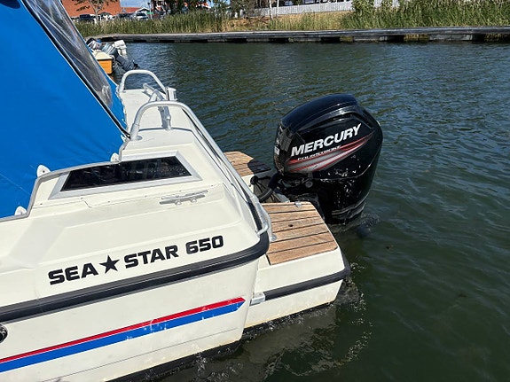 SEASTAR 650 Family Mercury 100Hk Fyrtakt -17 ENDAST 160h 5 of 12