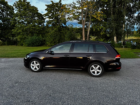 Volkswagen Golf VII 5 of 8