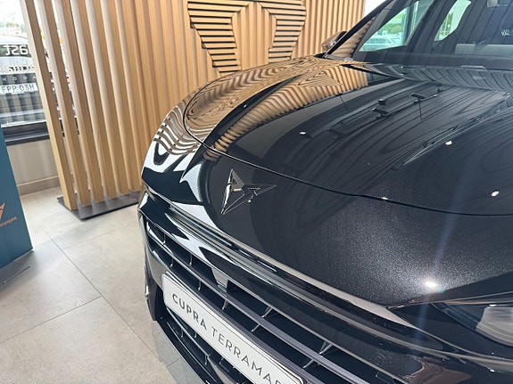 Cupra Terramar 23 of 24