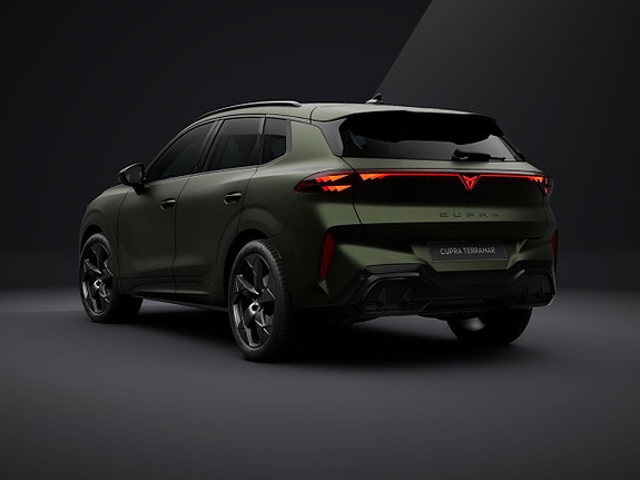Cupra Terramar 3 of 15