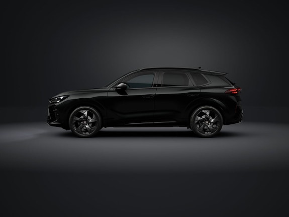 Cupra Terramar 5 of 15