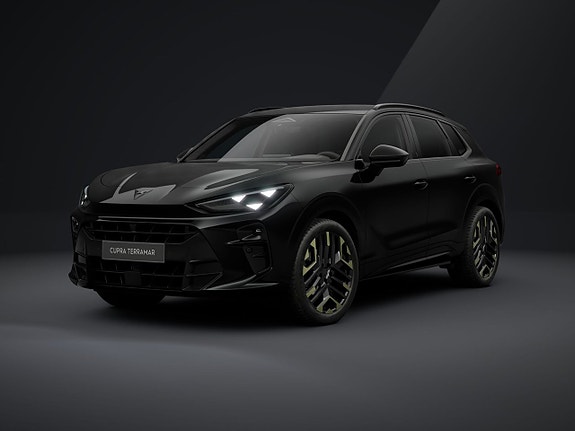 Cupra Terramar 7 of 15
