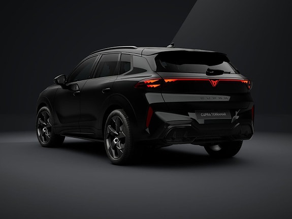 Cupra Terramar 6 of 15