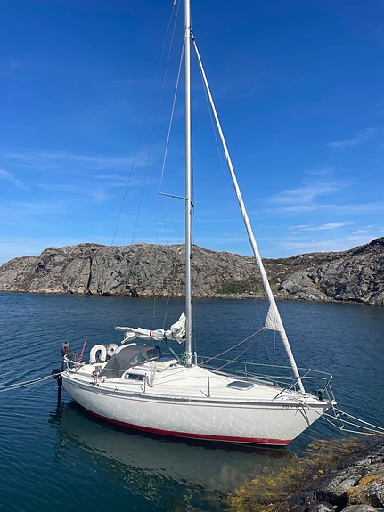 Albin 78 Cirrus med rejäl båtvagn 15 of 16