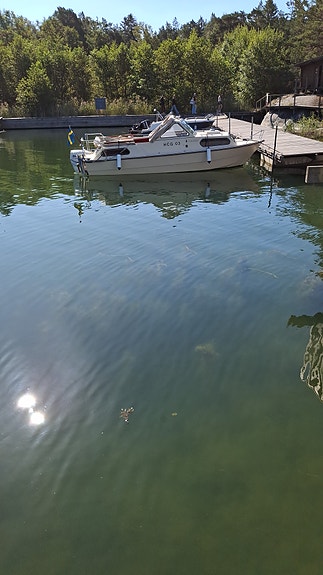 Runnö 22 HT + Evinrude E-tec 115 hk + Trailer 6 of 17
