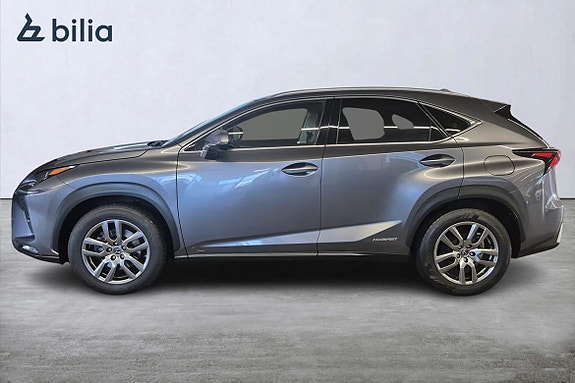 Lexus NX450h+ 10 of 30