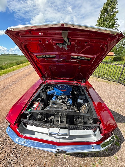 Ford Mustang 5 of 23
