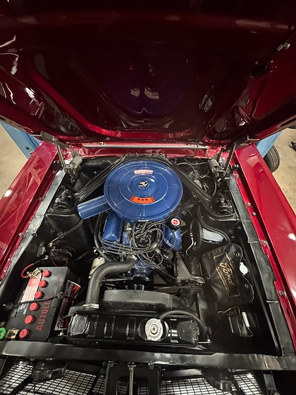 Ford Mustang 14 of 23