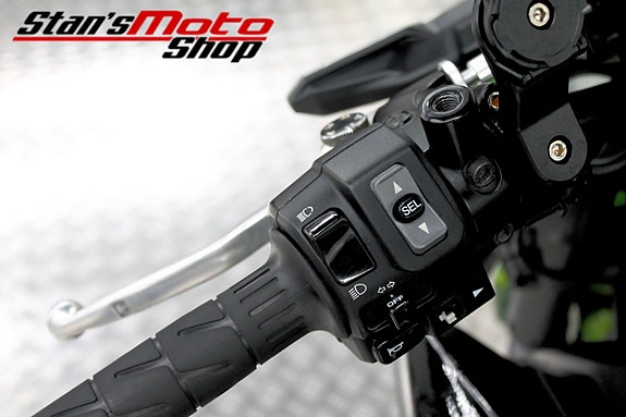 Kawasaki Z900 ABS Dominator 16 of 17