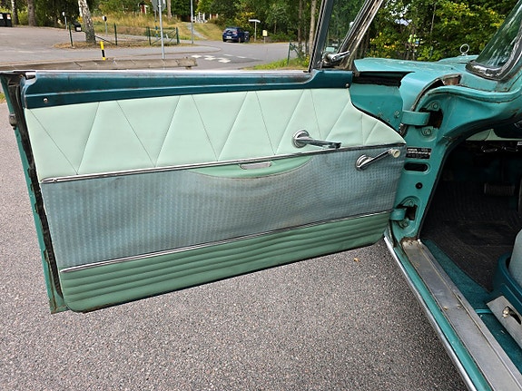 Edsel Pacer 15 of 18