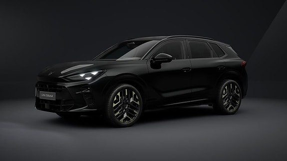 Cupra Terramar 3 of 10