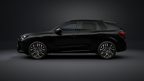 Cupra Terramar 4 of 10