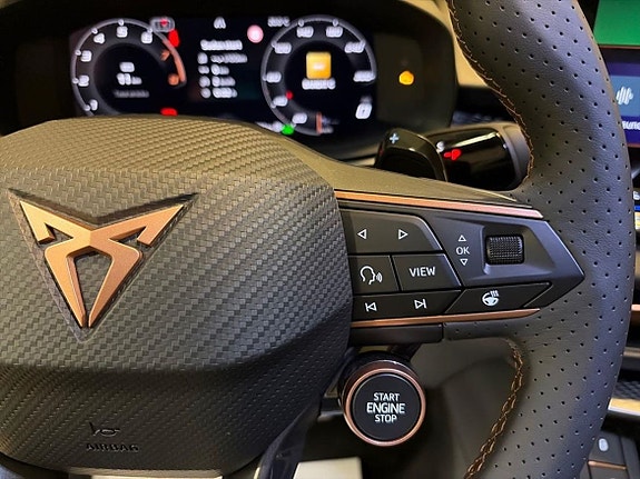 Cupra Terramar 17 of 20