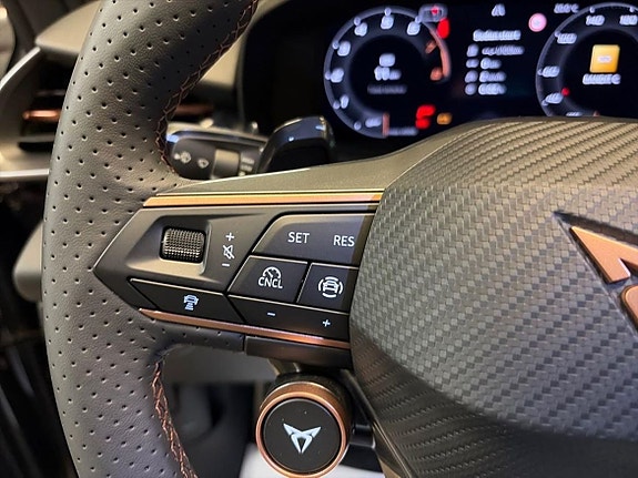 Cupra Terramar 16 of 20