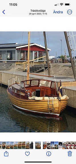 Fin eksnipa med segel 2 of 8
