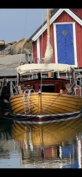 Fin eksnipa med segel 4 of 8