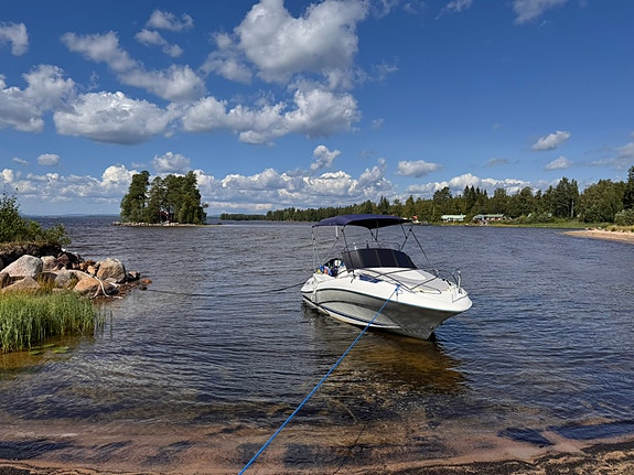 Örnvik 555 WA, ny trailer och lite annat kul 2 of 5