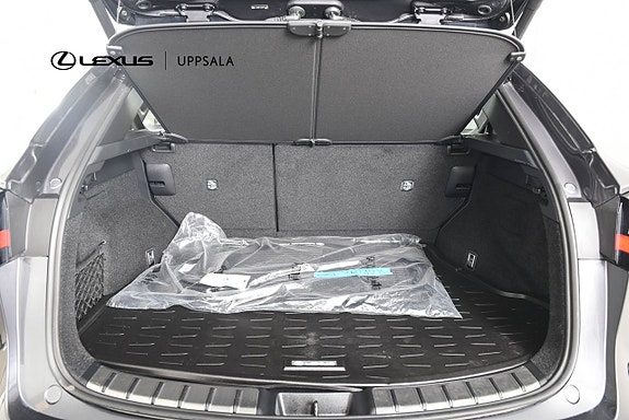 Lexus NX450h+ 9 of 18