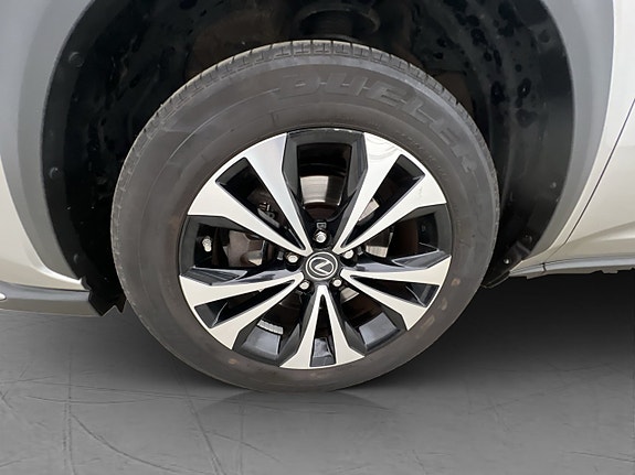Lexus NX300h 29 of 30