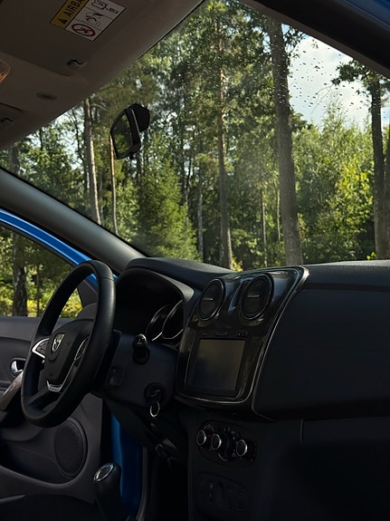 Dacia Sandero Stepway 8 of 8