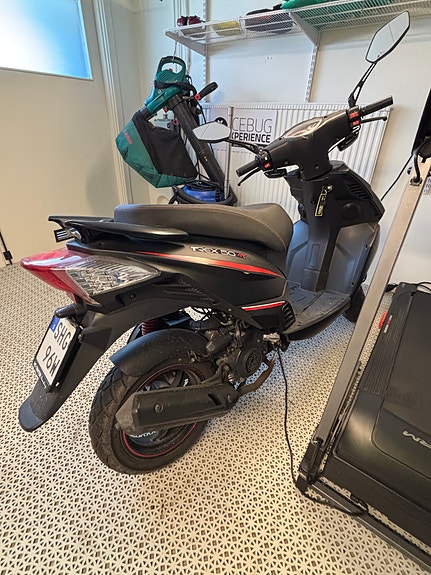 Motocr T-Rex 50 4T 2020 3 of 5