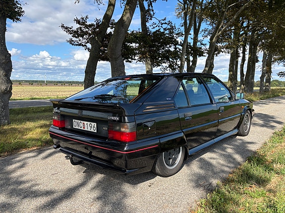 Citroen BX 5 of 30