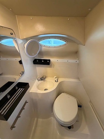 Wellcraft 2600 Volvo Penta 5.7 GXI 2019 9 of 10