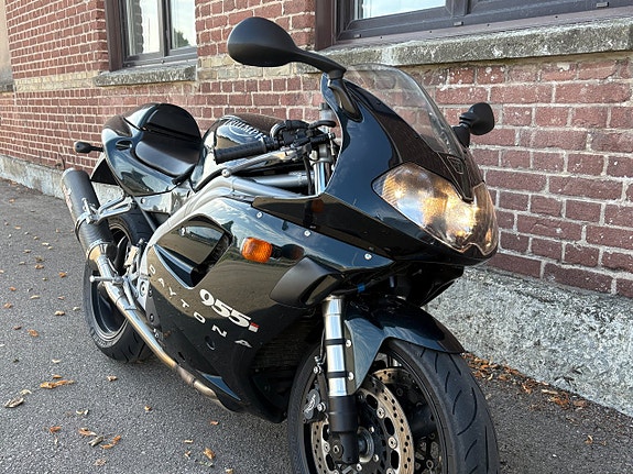 Triumph DAYTONA 955i *SENSOMMARFYND* 2 of 14