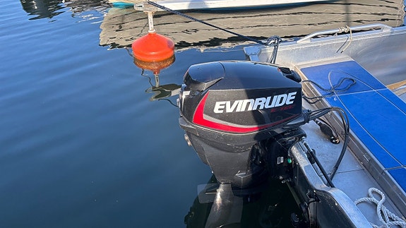 Linder 445 Max Evinrude E30 DPGL 4 of 4