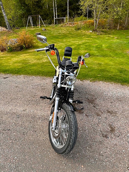 Harley-Davidson Roadster 4 of 4