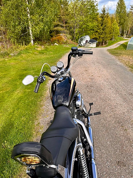 Harley-Davidson Roadster 3 of 4