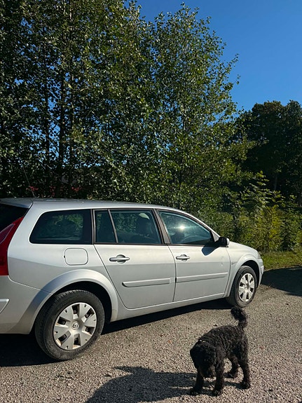 Renault Megane II 3 of 7