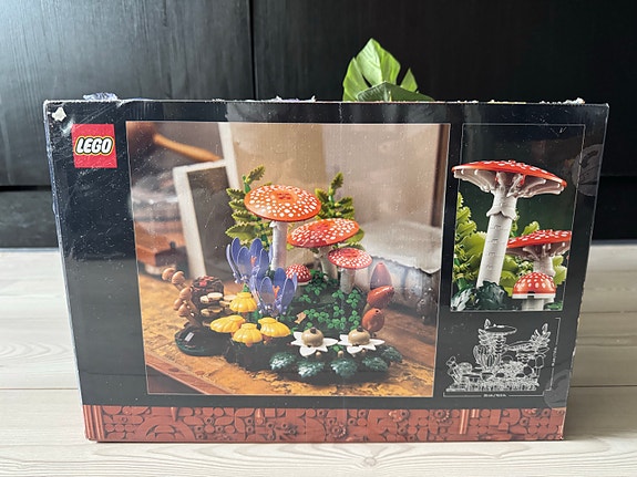 Product image 2 of 10