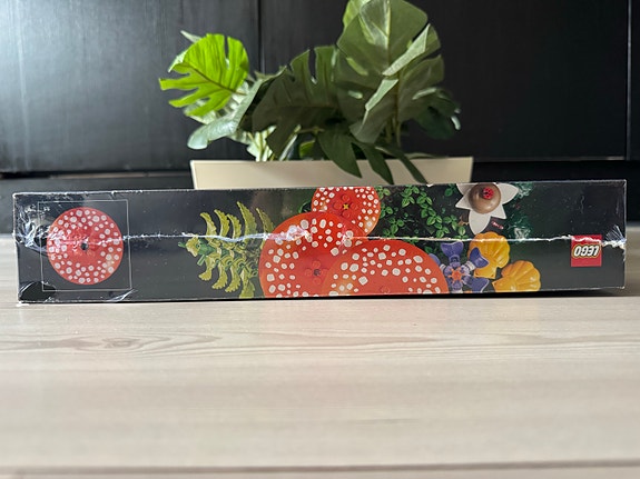 Product image 5 of 10