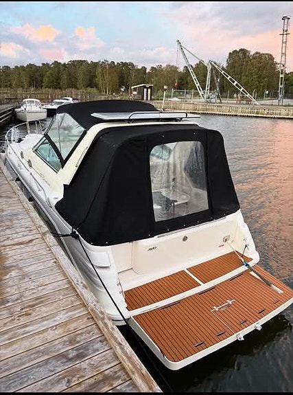 Sea Ray 290 9 of 12