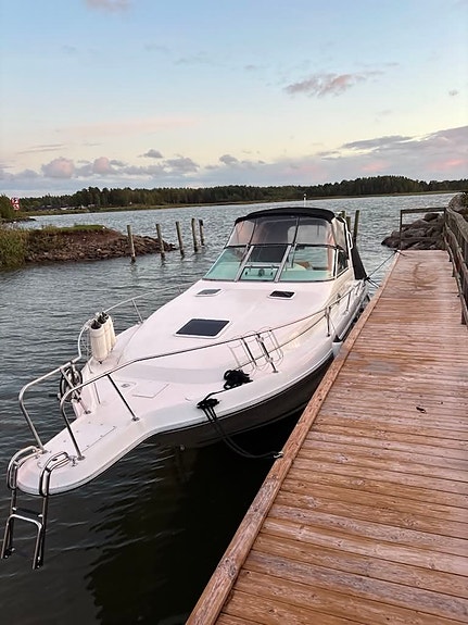Sea Ray 290 3 of 12