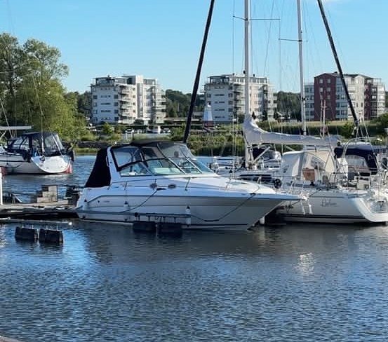Sea Ray 290 2 of 12