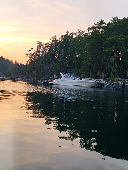 Sea Ray 290 11 of 12