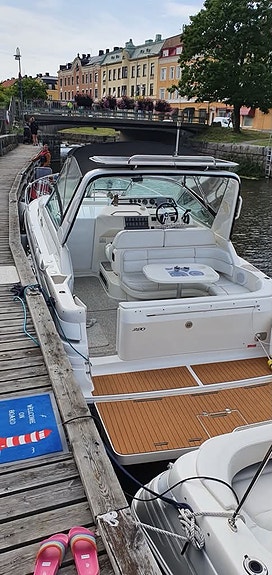 Sea Ray 290 4 of 12
