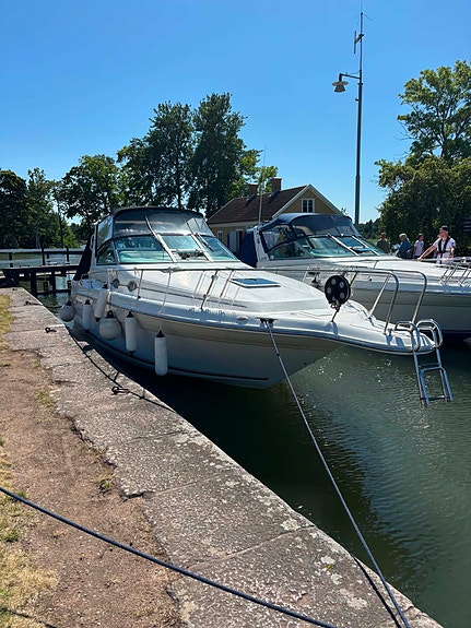Sea Ray 290 10 of 12